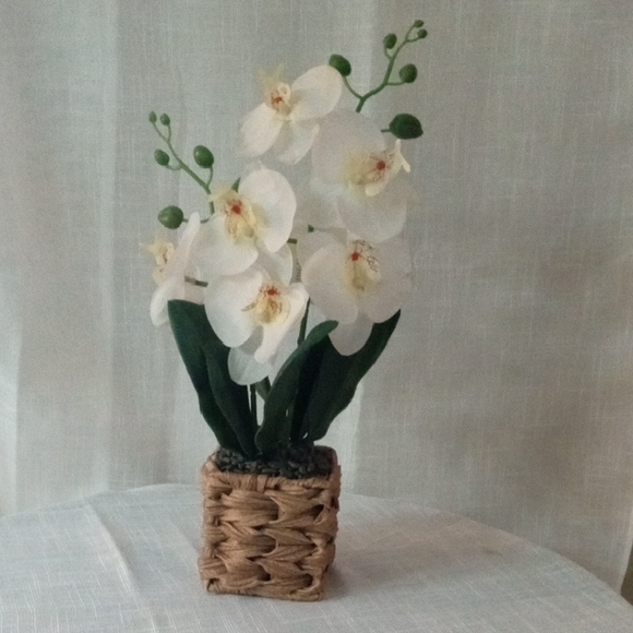 Green and White Faux Floral Orchid Accent Arrangement - Picture 2 of 5